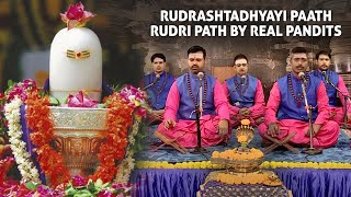 Rudrashtadhyayi Paath  Complete Rudri Path  Rudram Namakam Chamakam by North Indian Brahmins [upl. by Earehc505]