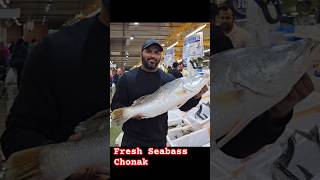 Fresh Fish Seabass  Shark  Shorts [upl. by Diantha]