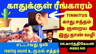 காது இரைச்சல் குணமாக  Understanding Tinnitus Causes Symptoms and Treatments [upl. by Eellac319]