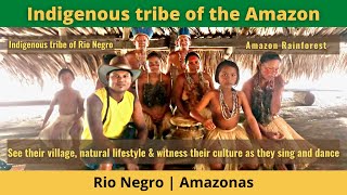 Brazil Travel  Indigenous tribe of the Amazon [upl. by Attela513]