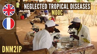 Neglected Tropical Diseases MOOC  Teaser [upl. by Gregrory]