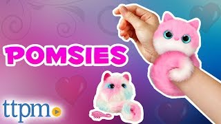 Pomsies  Wearable Virtual Pom Pom Pets REVIEW  Skyrocket Toys [upl. by Perlis960]