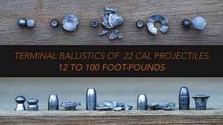 How 22 cal Airgun slugspellets expand 12 to 100 foot pounds  Clay Ballistics Revisited [upl. by Anerak280]