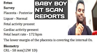 My Baby Boy NT Scan Reports  Baby Ultrasound  Heart Rate  Placenta Position  Gender  adhurs adi [upl. by Pagas590]