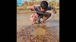 🐓Cickcken Wala Hook Fishing Video🐔 big mangur fish 🐬 ichickenfishing fish fishing shorts [upl. by Mailliwnhoj243]