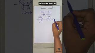 Structure of Starch  Amylose Amylopectin Structure  Medi Queries [upl. by Ostler]