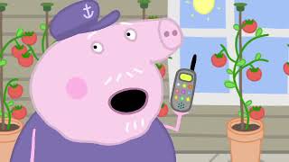 Peppa Pig Episodes  Champion Daddy Pig [upl. by Ethelyn]