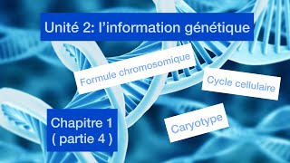 Unité 2 l’information génétique et sin mécanisme d’expression chapitre 1  partie 4 [upl. by Kantos]