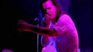 New Morning  Nick Cave amp the Bad Seeds [upl. by Aramenta]