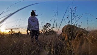 Exploring Fruska gora National Park Serbia  GoPro [upl. by Hsreh]