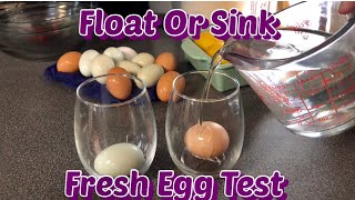 How To Tell If A Egg Is Bad Or GoodSink Or Float Bad Egg Test [upl. by Lettie]