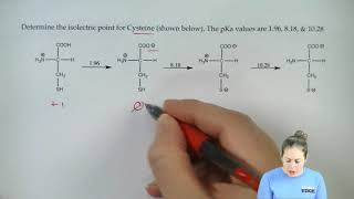 30second study tip the isoelectric point of cystine [upl. by Akemit250]