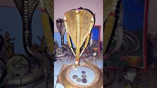 Goga Ramva Aavo Gaman Santhal II ગોગાજી રમવા આવો gogaji shortvideo shorts trending shortsfeed [upl. by Squire]