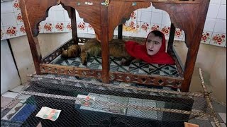 Public Telling True Story of Mumtaz Begum in Karachi Zoo  Women Fox In Pakistan  Real Farooq Jan [upl. by Eilrahs]