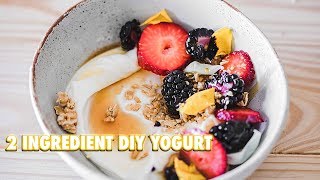 How To Make Your Own Yogurt With 2 Ingredients [upl. by Gretta]