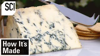 How Its Made Blue Stilton Cheese [upl. by Ahseal578]