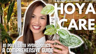 HOYA CARE in PON and SemiHydroponics A Comprehensive Guide 🌿 [upl. by Mad384]