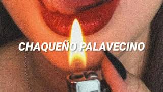 Chaqueño Palavecino  Amor Salvaje Letra [upl. by Gowon333]