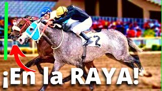 🔥 𝗙𝗜𝗡𝗔𝗟𝗘𝗦 𝗘𝗟𝗘𝗖𝗧𝗥𝗜𝗭𝗔𝗡𝗧𝗘𝗦 del Hipismo Venezolano 😲👉 ¿Estuviste en alguno de ellos [upl. by Airyt]