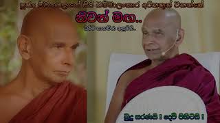 Miwanapalane Siri Dhammalankara Thero අතිපූජ්‍ය මීවනපළානේ සිරි ධම්මාලංකාර අරිහතුන් වහන්සේ  නිවන් මඟ [upl. by Fasa163]