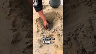 IM SAND GRABEN um einen SCHATZ ZU FINDEN 😱 [upl. by Nomit627]