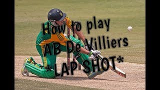 AB de Villiers batting tips How to Play with 360 degree [upl. by Ilocin]