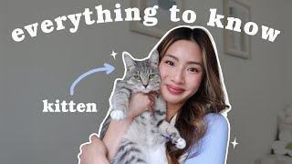 10 things to know before getting a cat 🐱  Miki Rai [upl. by Harvison]