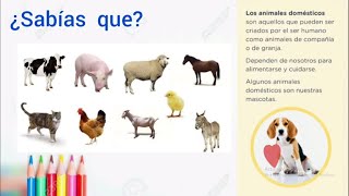 ANIMALES DOMESTICOS 🐶 y SALVAJES 🦒 para NIÑOS [upl. by Bolten]