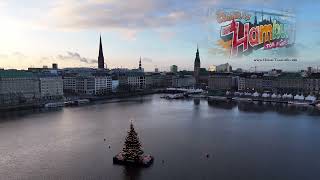 Flug über die Binnenalster Hamburg mit Weihnachtsbaum [upl. by Monroy877]