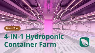 4IN1 Hydroponic Container Farm [upl. by Alper575]