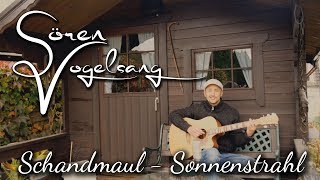 Sören Vogelsang  Sonnenstrahl Schandmaul Cover [upl. by Trinia]