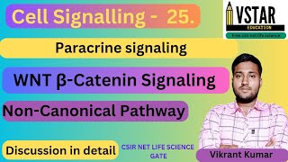 wnt signaling Pathway  wnt non canonical pathway  wnt βCatenine signaling Pathway [upl. by Tap]