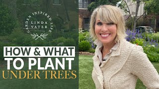 How amp What to Plant Under Shade Trees [upl. by Ariay]