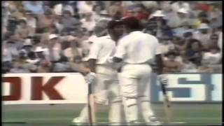 Lawrence Rowe Batting Compilation [upl. by Novihc639]