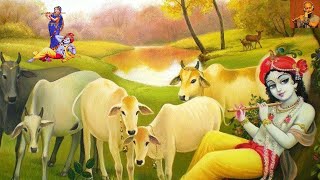 KRISHNA FLUTE MUSIC FOR POSITIVE ENERGYRELAXING MUSIC 247FLUTEHEALMEDITATIONINDIAN FLUTE39 [upl. by Perot46]