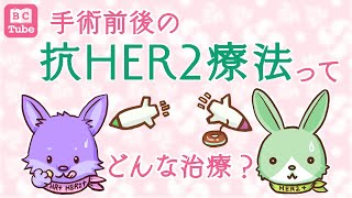 【初期治療の薬】乳がん手術前後の抗HER2療法ってどんな治療？【乳腺科医が解説】 《BC Tube：乳癌の専門家による情報発信グループ》 [upl. by Yolande604]