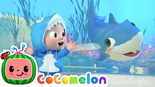 Baby Shark  CoComelon Nursery Rhymes [upl. by Paucker]