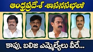 Andhra Pradesh Kapu Balija Caste MLAs Profiles 2019  AP Assembly  Ontari Telaga  BCTimes [upl. by Dric]