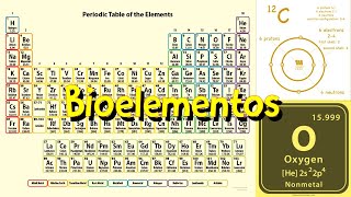 Bioelementos [upl. by Siuoleoj644]