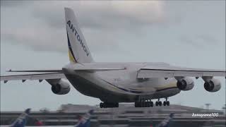 ✈✈RJAAウクライナの世界最大級輸送機 アントノフAn 124 Antonov Airlines Antonov An 124 Ruslan Landing Narita RWY16R成田空港 [upl. by Asserac]