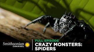 Crazy Monsters Spiders 🕷️ FULL EPISODE  Smithsonian Channel [upl. by Aimej]