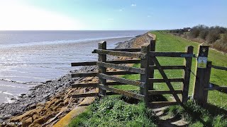 Goldcliff Late July 2018 [upl. by Limak]