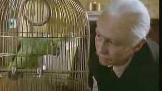 The Fast Show  Unlucky Alf  Parrot Sketch [upl. by Avrenim]