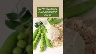 Incorporating Pea Protein Powder into Your Daily Diet [upl. by Waller]