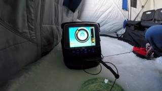 Marcum LX 7 Sonar Fish Finder Ice Fishing Review [upl. by Occor]