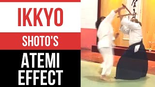 Aikido Insights Unveiling Concepts with the Shotos Atemi Effect  Seminar Highlights [upl. by Strang]