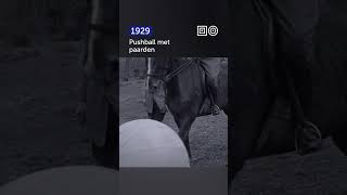 🎞️ Rocket League met paarden 🐎🚀 1929 Shorts [upl. by Aldus]