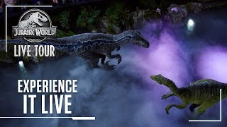 Experience it Live  Jurassic World Live Tour [upl. by Nim517]