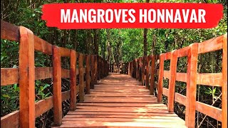 Sharavathi Kandla Mangrove Boardwalk  Honnavar Mangrove [upl. by Galvin]