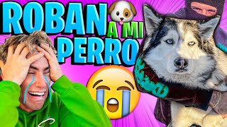 ROBARON A MI PERRO ODIN  BROMA PESADA [upl. by Anawqahs]